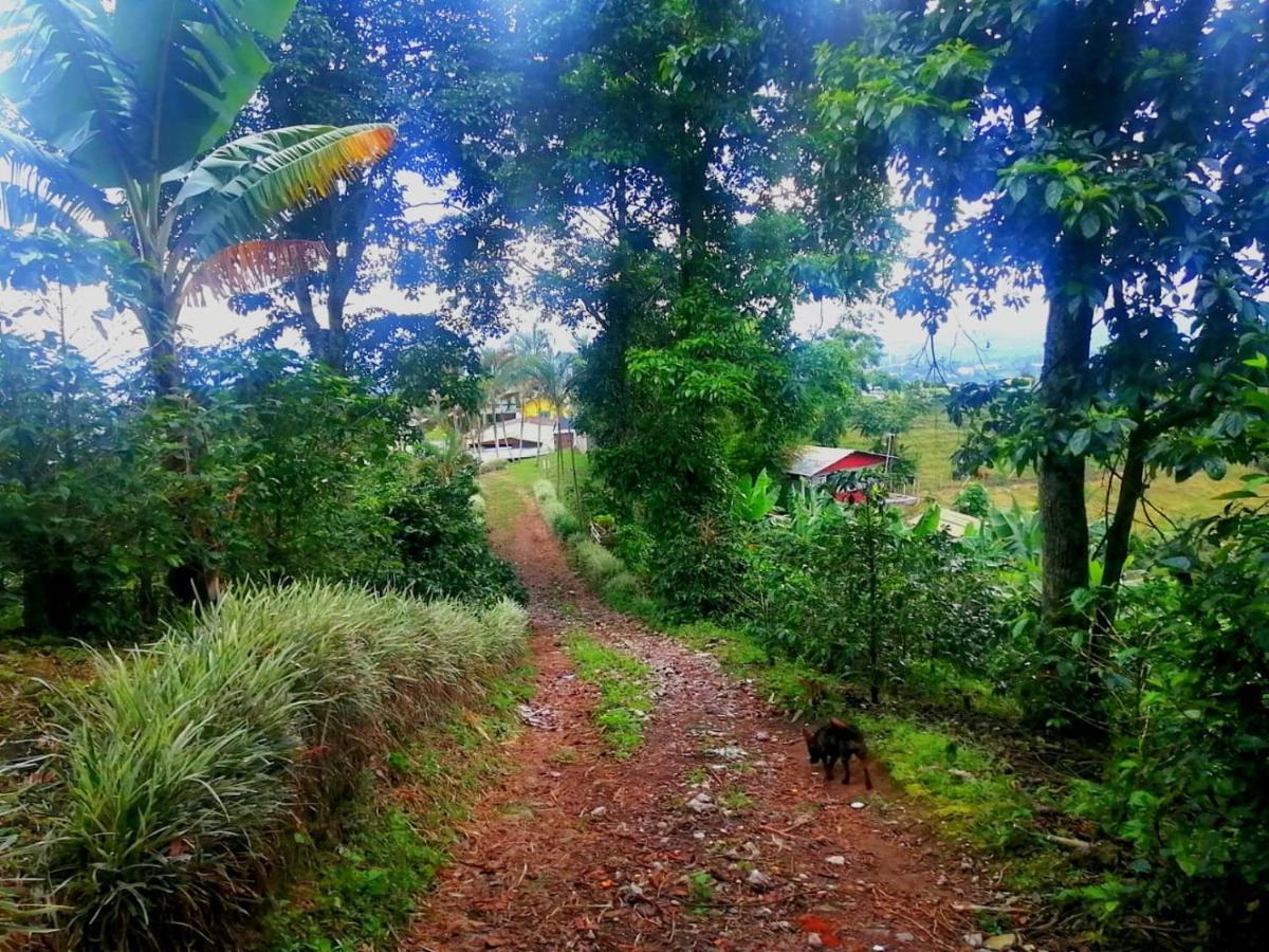 הוסטל Calarcá Finca Turistica Santa Clara מראה חיצוני תמונה