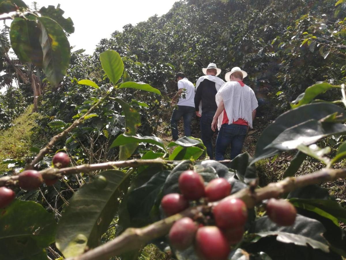 הוסטל Calarcá Finca Turistica Santa Clara מראה חיצוני תמונה